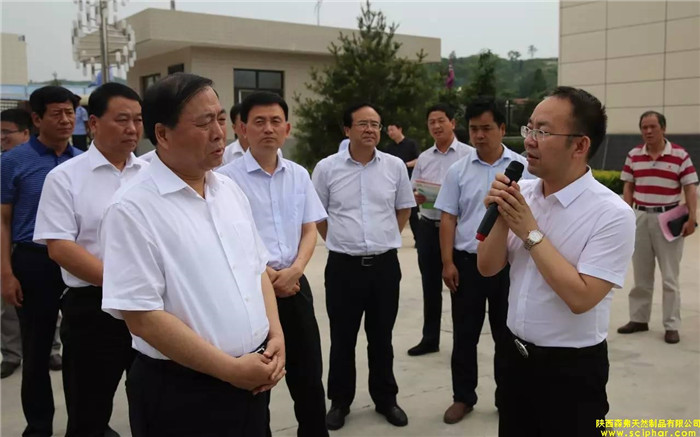 省委常委、省委統(tǒng)戰(zhàn)部部長(zhǎng)、副省長(zhǎng)姜鋒蒞臨森弗產(chǎn)業(yè)園調(diào)研大健康產(chǎn)業(yè)發(fā)展情況
