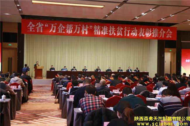 陜西森弗榮獲全省“萬企幫萬村”精準扶貧行動先進民營企業(yè)