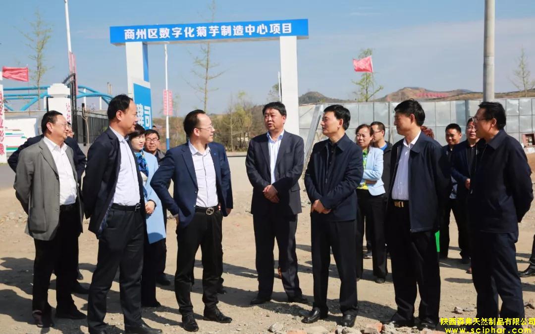 商洛市委副書記、市長(zhǎng)鄭光照檢查商州區(qū)菊芋制造中心項(xiàng)目工作