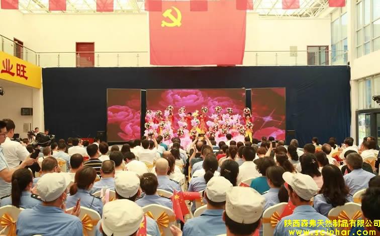 商州非公經(jīng)濟組織和社會組織黨建工作觀摩推進暨三星級黨組織命名表彰大會在森弗紅色會客廳舉行